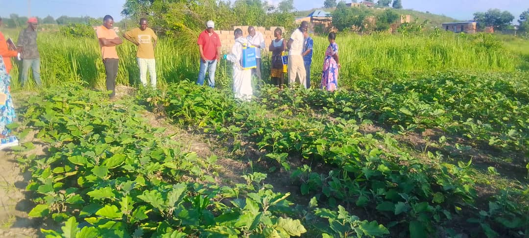 Partenariats et diplomatie agricole