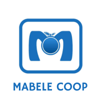 Logo partenaire 13