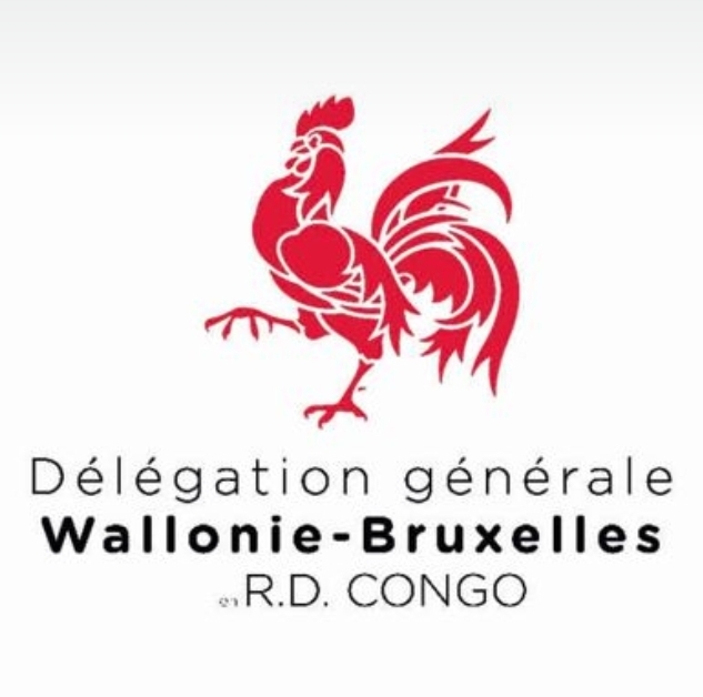 Logo partenaire institutionnel